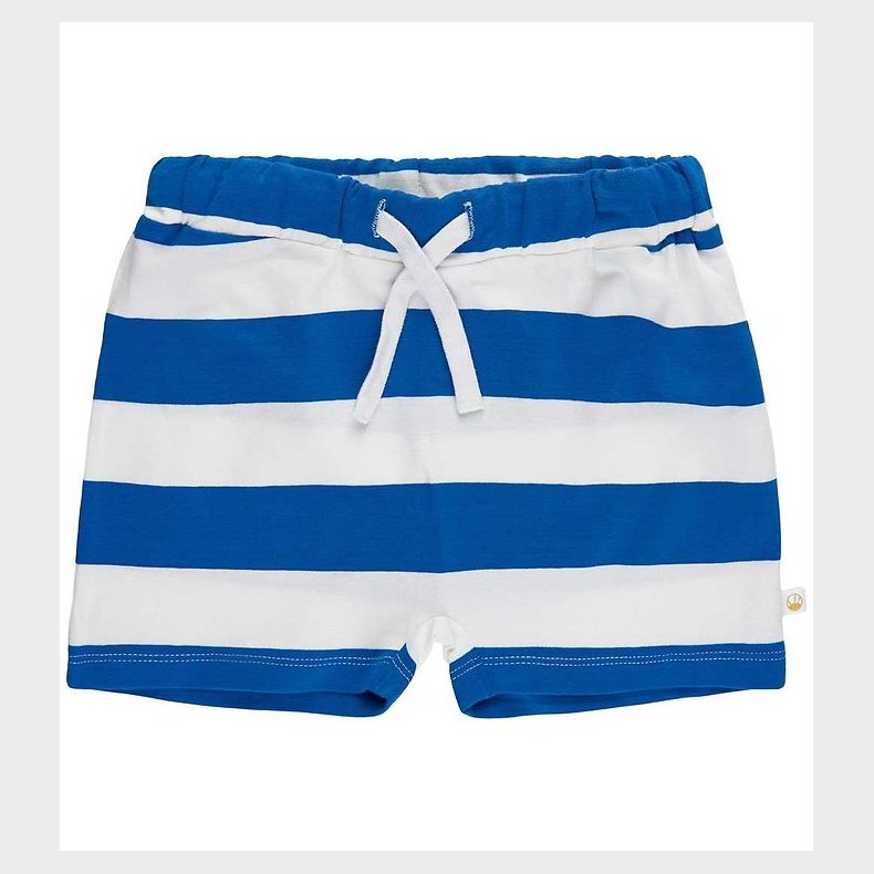 The New Siblings Shorts - TnsGeo - Daphne