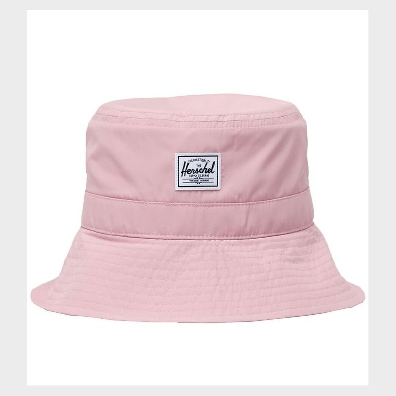 Herschel Bllehat - Rose