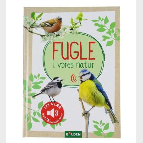 Forlaget Bolden Bog m. Lyd - Fugle i Vores Natur