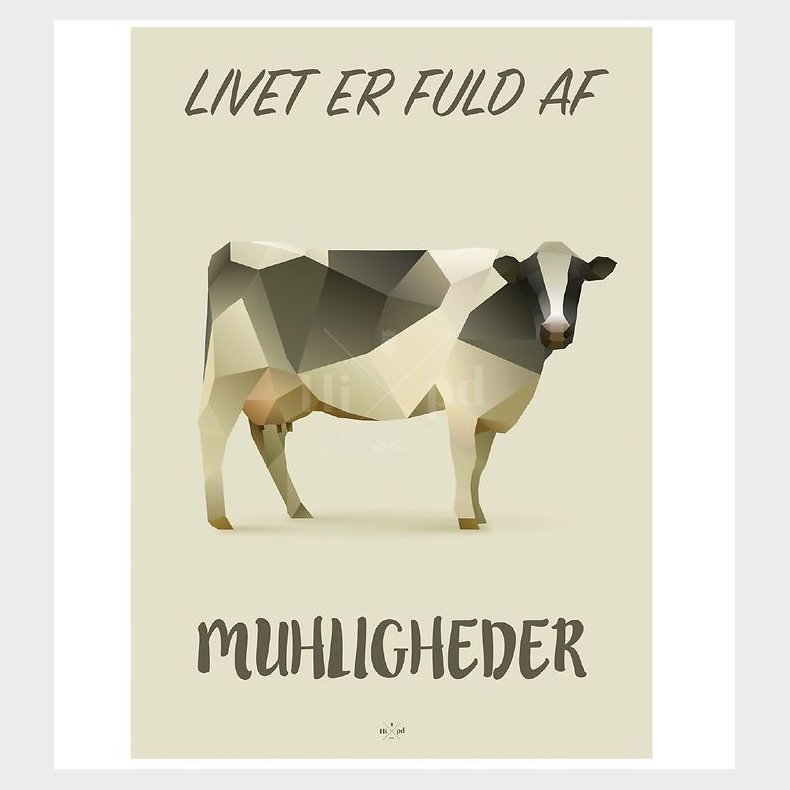 Hipd Plakat - 50x70 - Cow