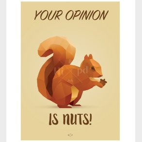 Hipd Plakat - A4 - Nuts