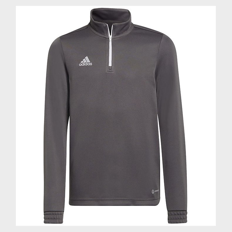 adidas Performance Bluse - ENT22 TR TOPY - Gr/Hvid