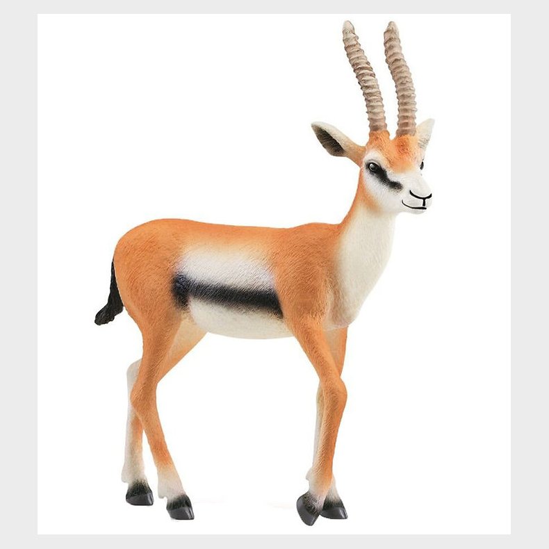Schleich Wild Life - Gazelle - H: 9,7 cm - 14861
