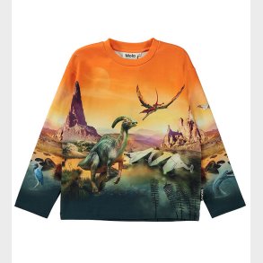 Molo Bluse - Mountoo - Dino Planet