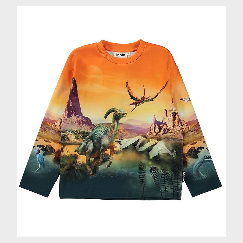 Molo Bluse - Mountoo - Dino Planet