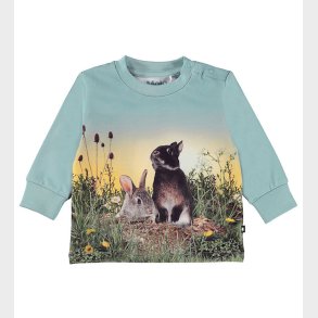 Molo Bluse - Eloy - Rabbit Life