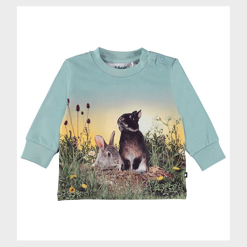 Molo Bluse - Eloy - Rabbit Life