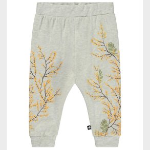 Molo Bukser - Susanne - Mimosa Vine