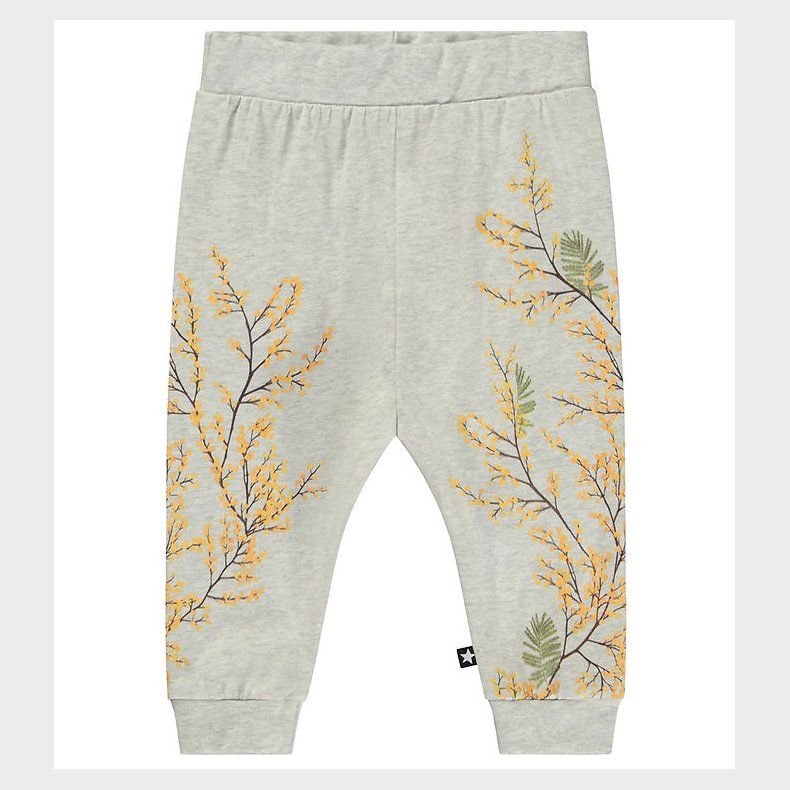 Molo Bukser - Susanne - Mimosa Vine