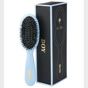 Fan Palm Hrbrste - Small - Boy