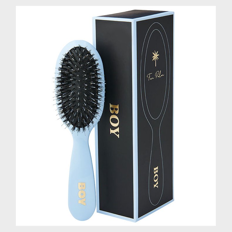 Fan Palm Hrbrste - Small - Boy