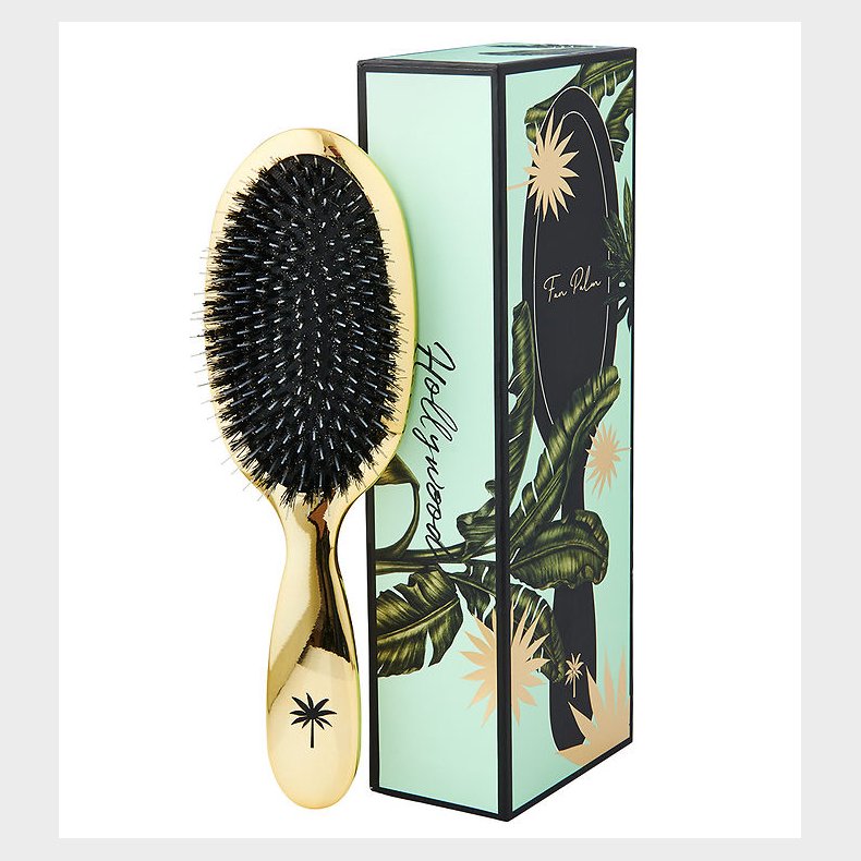 Fan Palm Hrbrste - Medium - Hollywood