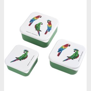 Petit Jour Paris Madkassest - 3 stk - 11,5 x 5,5 cm - Papegjer