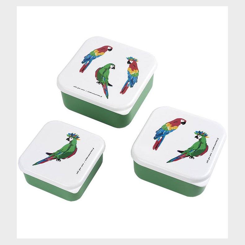 Petit Jour Paris Madkassest - 3 stk - 11,5 x 5,5 cm - Papegjer