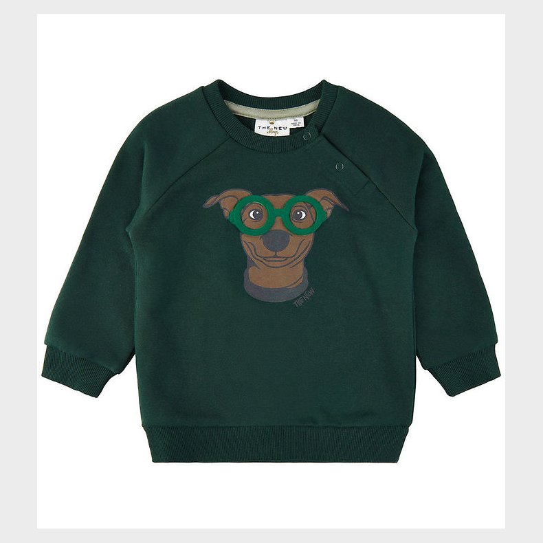 The New Siblings Sweatshirt - TnsHany - Green Gables m. Hund