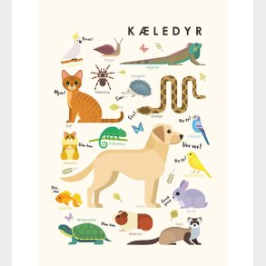 Citatplakat Plakat - Brneplakat - Kledyr - A3