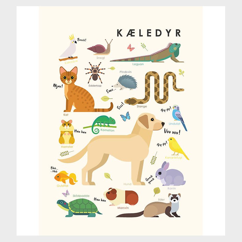 Citatplakat Plakat - Brneplakat - Kledyr - A3