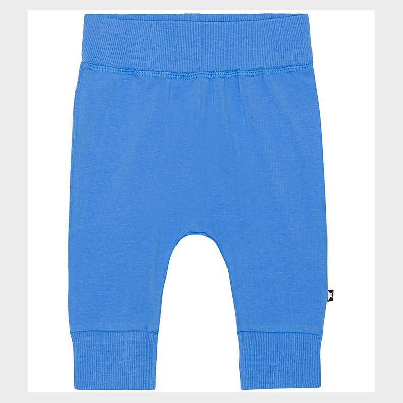 Molo Bukser - Sammy - Forget Me Not