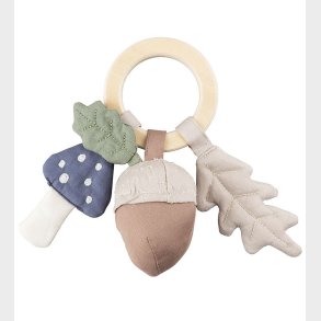 Sebra Rangle - Blad/Svamp/ Agern