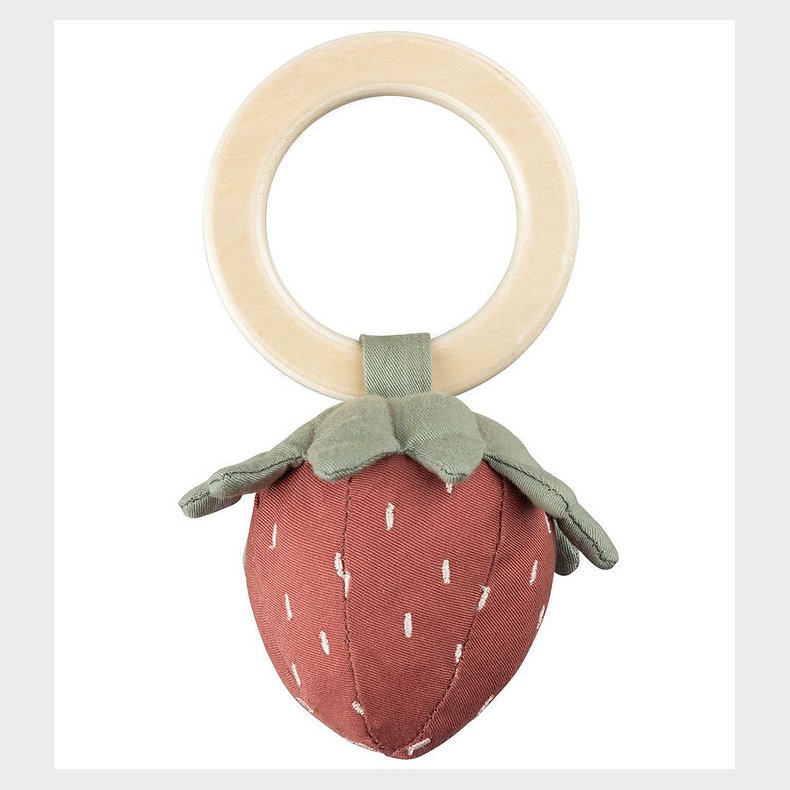 Sebra Rangle - Jordbr