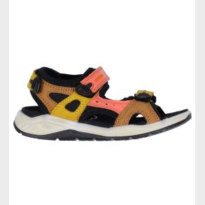 Ecco Sandaler - Ecco X-Trinsic K - Multicolor Coral