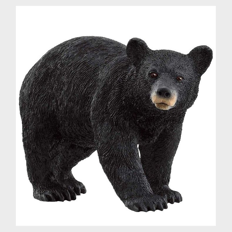 Schleich Wild Life - Amerikansk Sortbj�rn - H: 11,8 cm - 14869