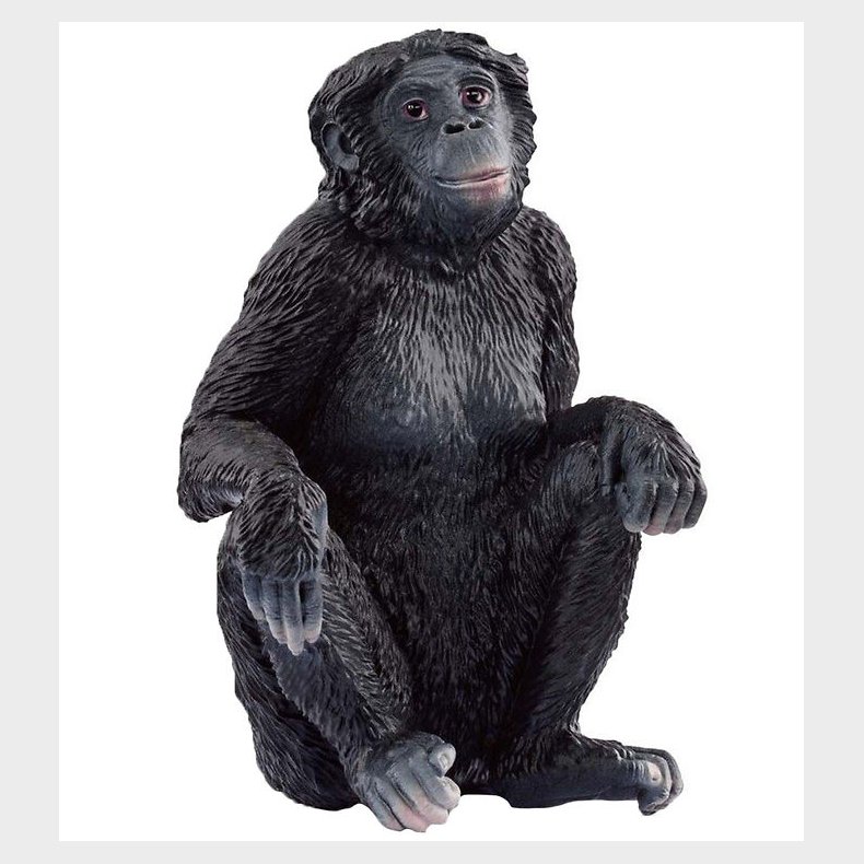 Schleich Wild Life - Bonobo-hun - H: 6 cm - 14875
