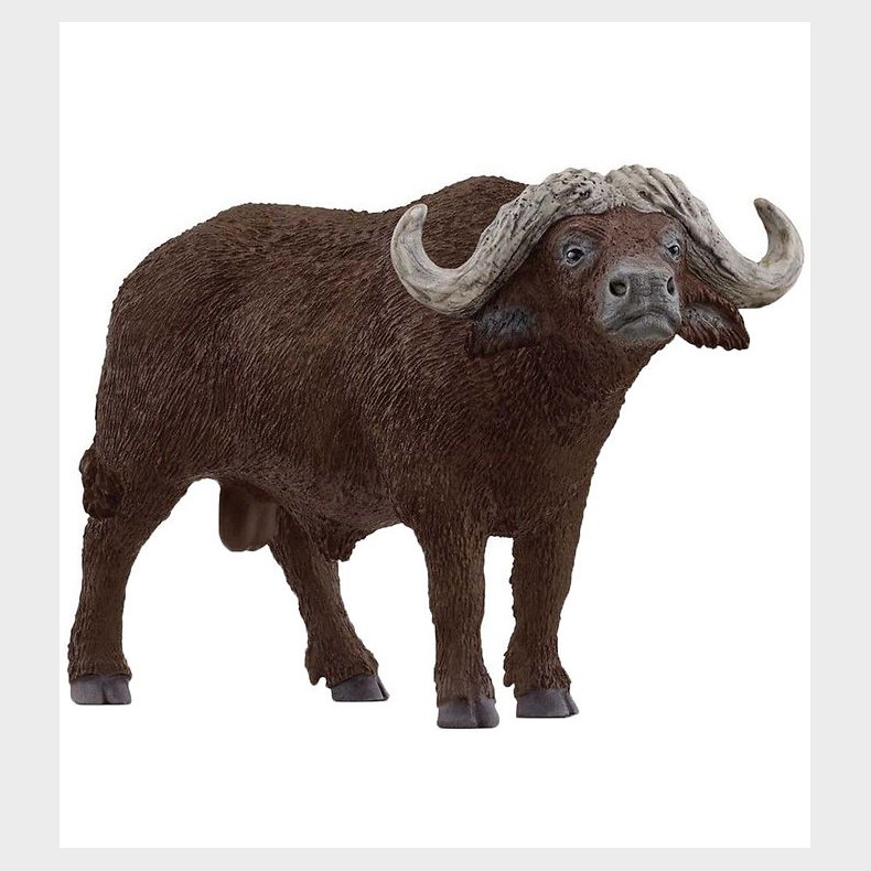 Schleich Wild Life - Afrikansk b�ffel - L: 13 cm - 14872