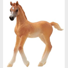 Schleich Horse Club - Araberf�l - H: 8 cm - 13984