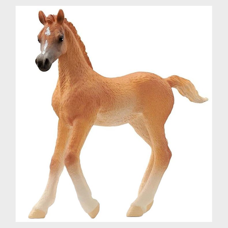 Schleich Horse Club - Araberf�l - H: 8 cm - 13984