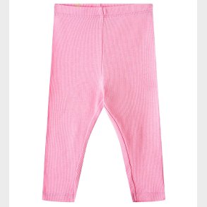 Wheat Leggings - Rib - Maddy - Pink