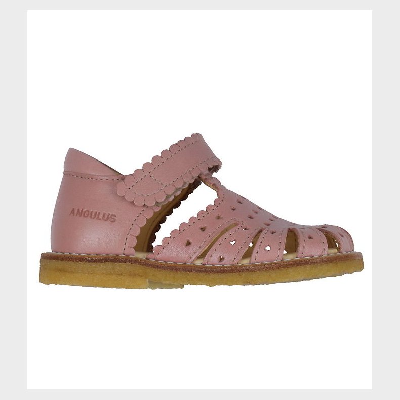 Angulus Sandal - Begynder - Rose