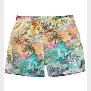 Molo Badeshorts - UV50+ - Niko - Dino Paradis