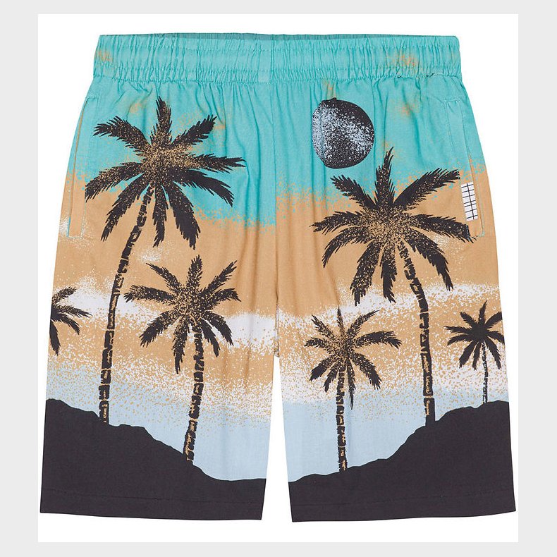 Molo Shorts - Adi - Holiday