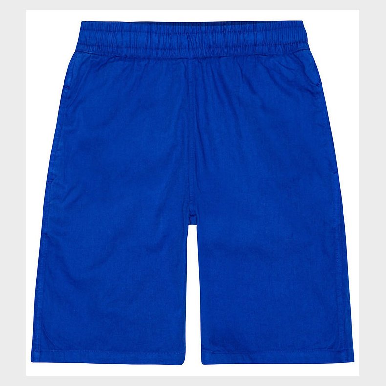 Molo Shorts - Arrow - Reef Blue
