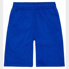 Molo Shorts - Arrow - Reef Blue