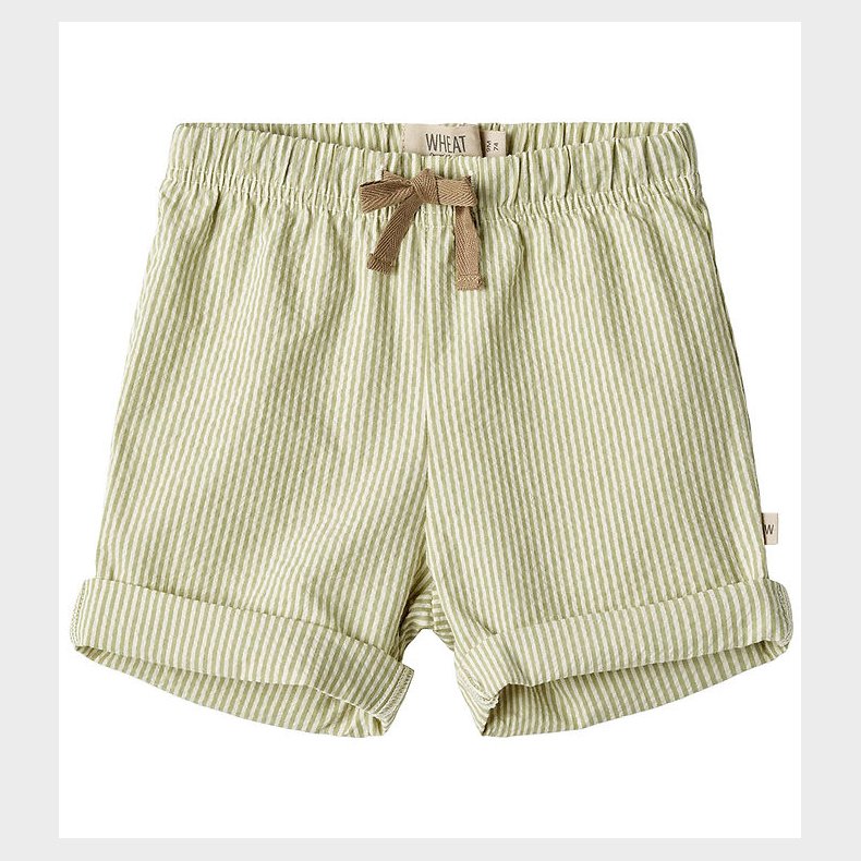 Wheat Shorts - Milton - Green Stripe