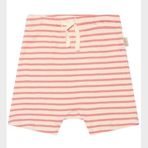 Petit Piao Shorts - Rib - Modal - Sea Shell Pink