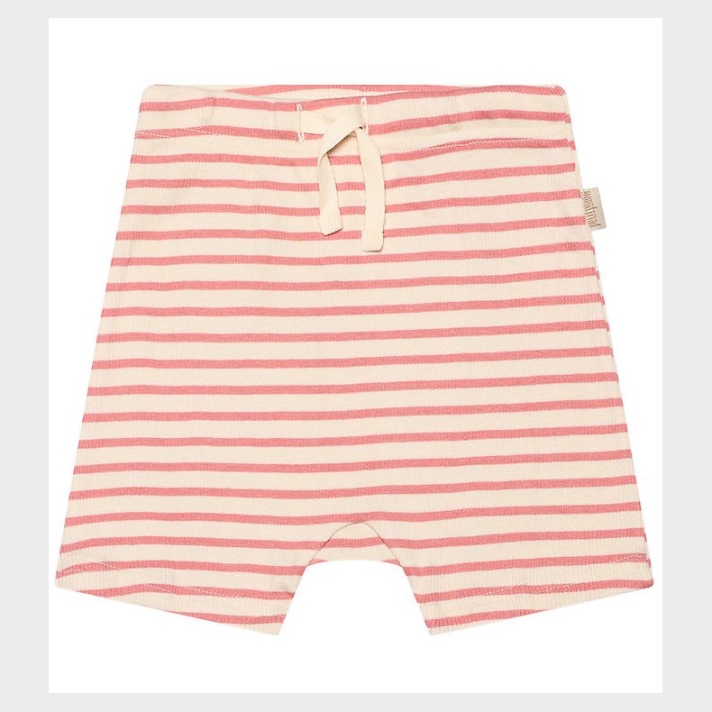 Petit Piao Shorts - Rib - Modal - Sea Shell Pink