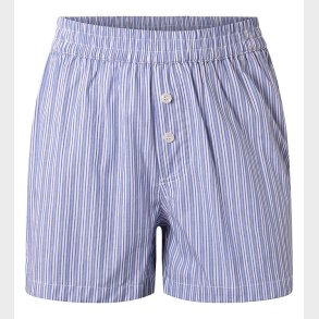 Hound Shorts - Light Blue Stripet