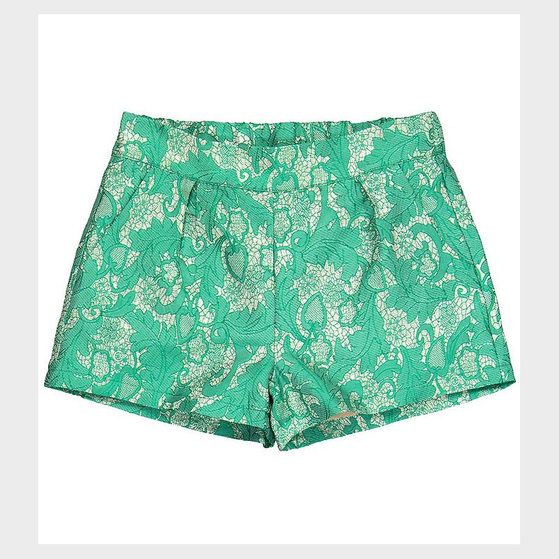The New Shorts - TNKira - Holly Green
