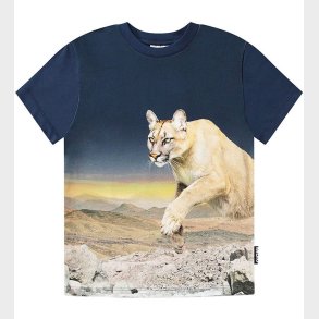 Molo T-shirt - Roxo - Puma Blue