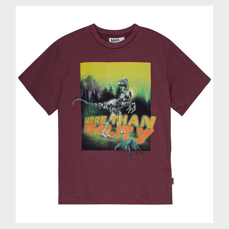 Molo T-shirt - Riley - More Than...