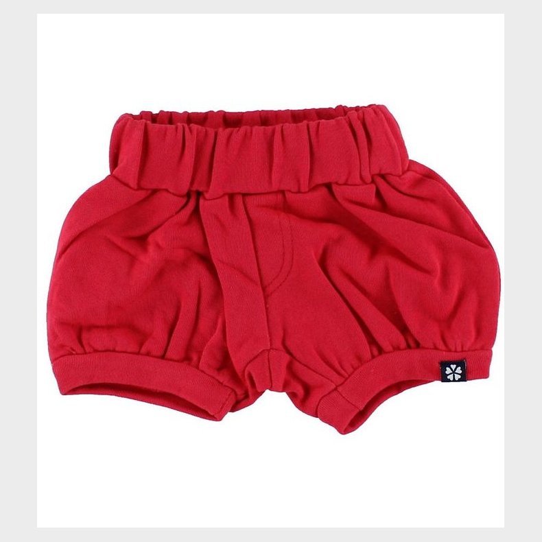 Papfar Shorts - Rd