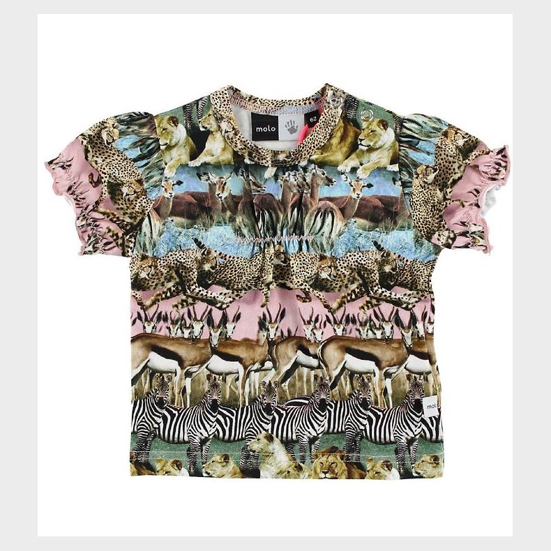 Molo T-shirt - Ree - Savanna
