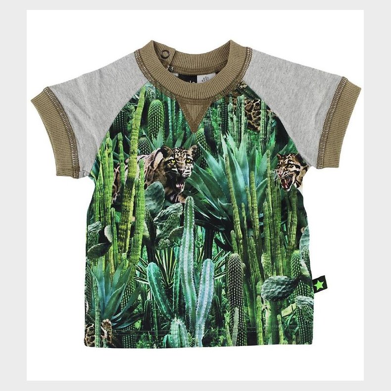 Molo T-shirt - Eton - Cactus Bite