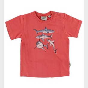 Wheat T-shirt - Rd m. Hajer