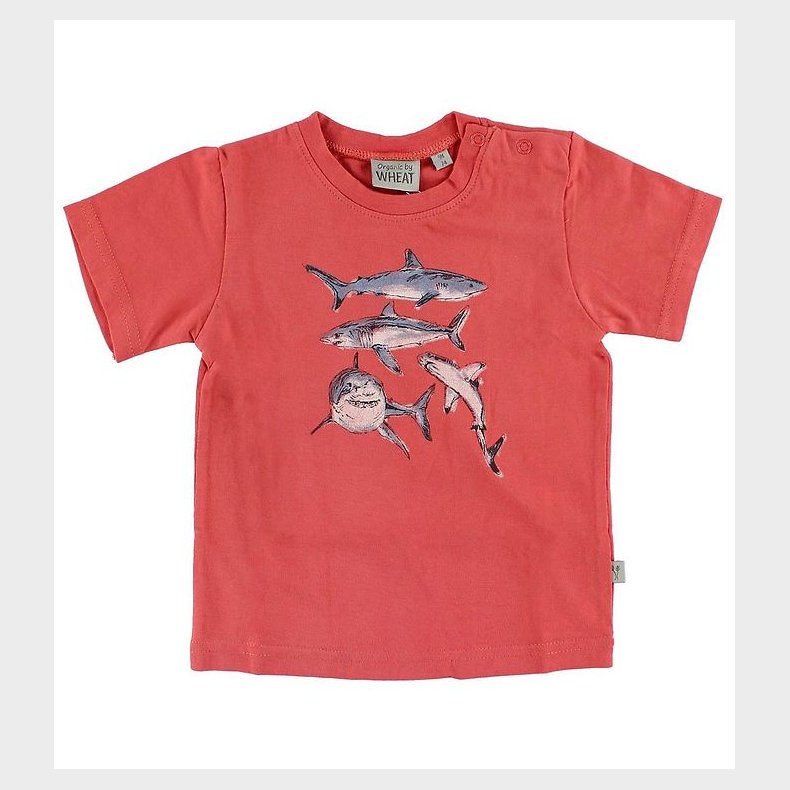 Wheat T-shirt - Rd m. Hajer