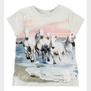 Molo T-Shirt - Erin - White Horses