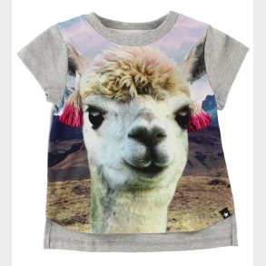 Molo T-Shirt - Erin - Lama